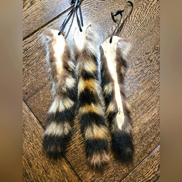 Raccoon Tails! - Picture 5 of 5